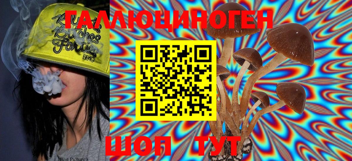 Псилоцибиновые грибы MAGIC MUSHROOMS Мурманск