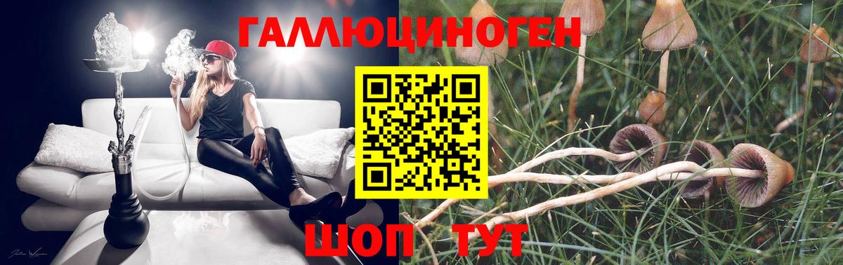 Галлюциногенные грибы Psilocybe  Вход с VPN  Мурманск  Галлюциногенные грибы Magic Shrooms 